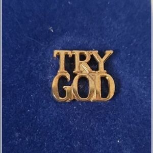 Tiffany & Co. Sterling Gold Plated Pin